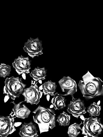 698188-838816083001b