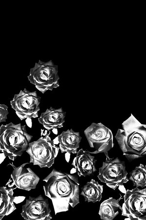 黑白花卉印花华亿平台图片