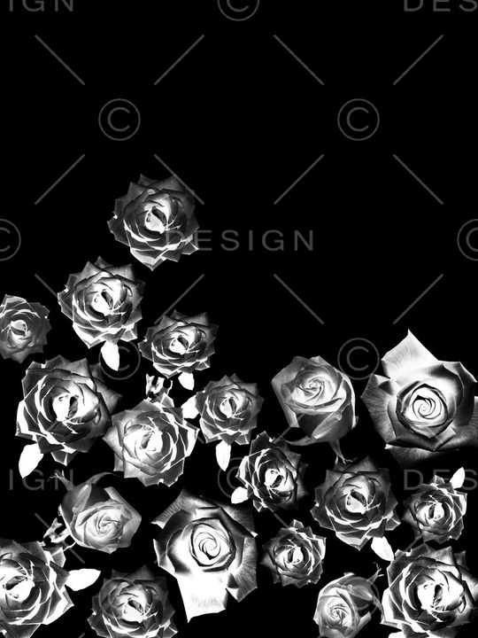 黑白花卉印花华亿平台图片