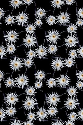 698278-160829-青蓝雅韵-8-1