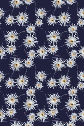 698279-160829-青蓝雅韵-8-2