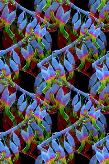 698286-160829-青蓝雅韵-9-2