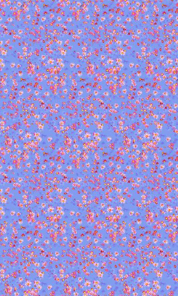 698396-彩色小雏菊