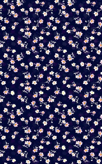 698402-矢量小花朵 菊花