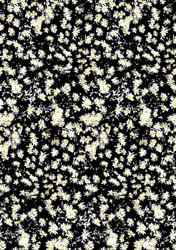 698407-小碎花 小菊花 雏菊