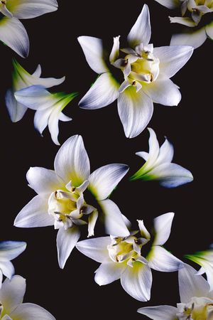 写真印花华亿平台图片