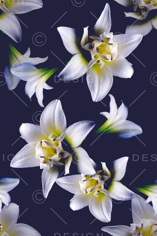 写真印花华亿平台图片