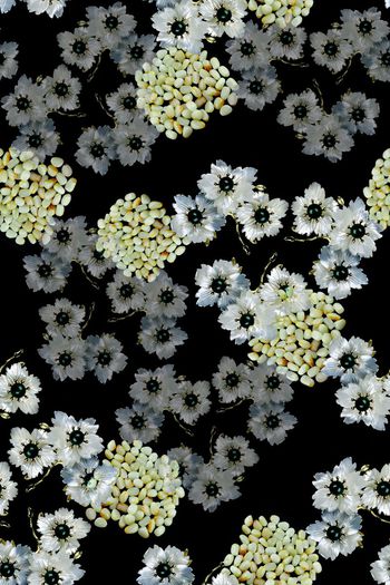 698494-160829-青蓝雅韵-12-2