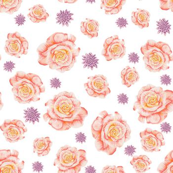 698593-花朵月季榄菊