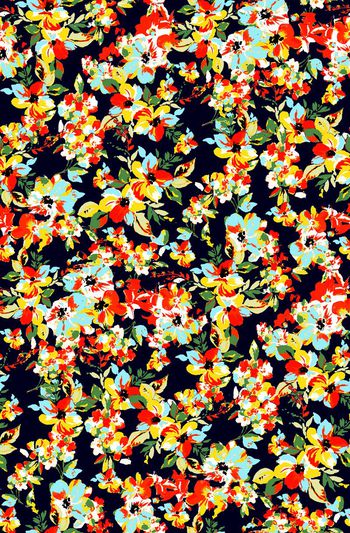 698940-彩色大花朵 菊花