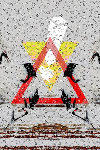 潮流大牌定位印花华亿平台图片