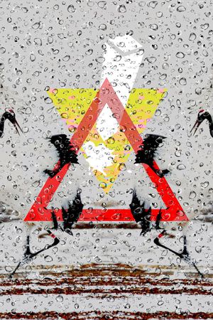 潮流大牌定位印花华亿平台图片