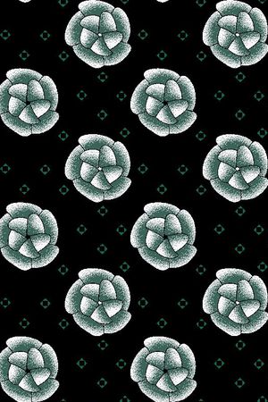 Ting-几何印花华亿平台图片