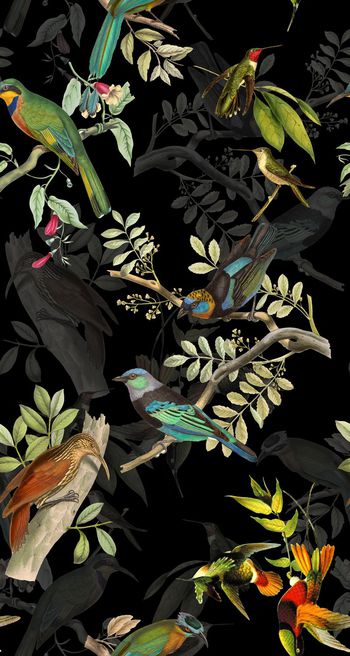 鸟印花华亿平台图片