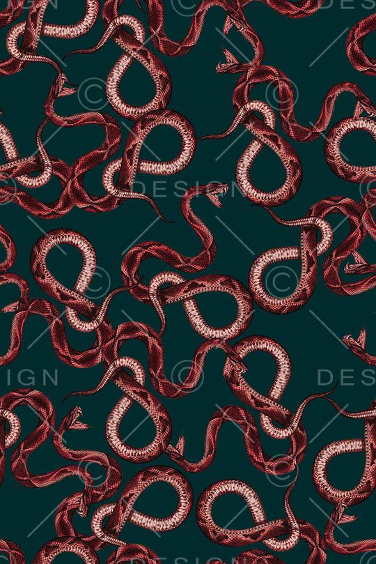 手绘古驰蛇纹印花印花华亿平台图片