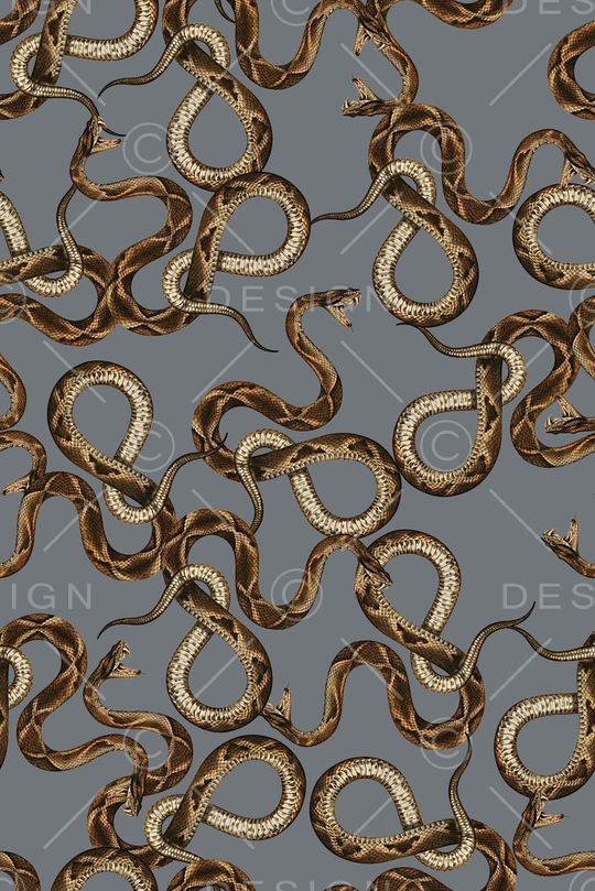 手绘古驰蛇纹印花印花华亿平台图片