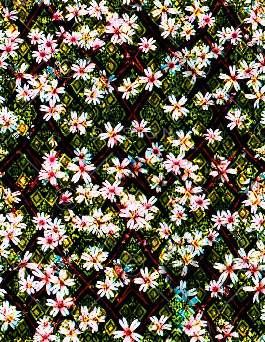 MAX-热带风情印花华亿平台图片