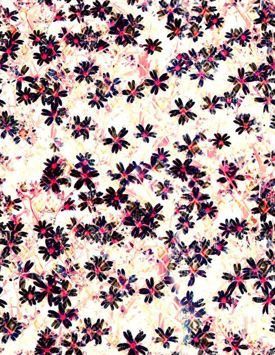 MAX-热带风情印花华亿平台图片