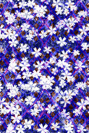 MAX-热带风情印花华亿平台图片