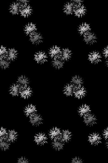 699259-160828-nzhh-1-1