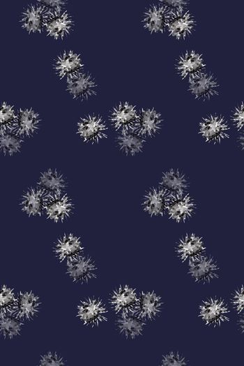 699261-160828-nzhh-1-3