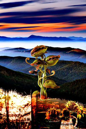 自然风景云朵数码印花印花华亿平台图片