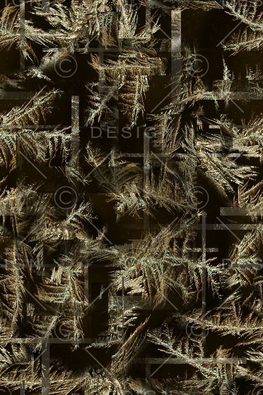 男装印花华亿平台图片