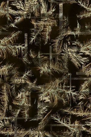 男装印花华亿平台图片