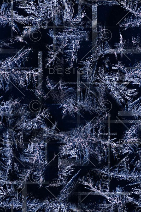 男装印花华亿平台图片