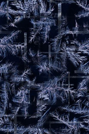 男装印花华亿平台图片