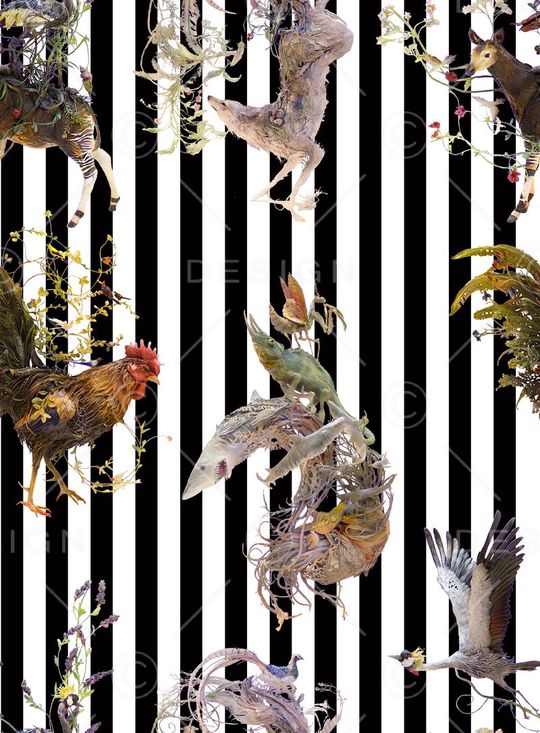 动物印花华亿平台图片