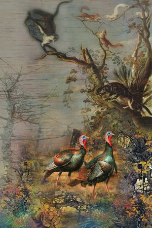 花鸟印花华亿平台图片