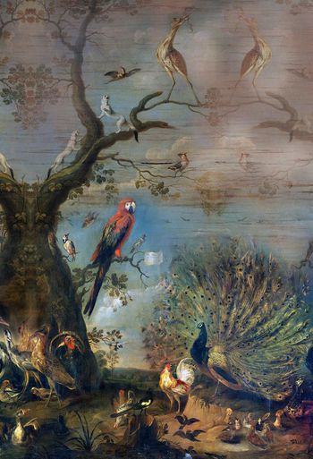 花鸟印花华亿平台图片