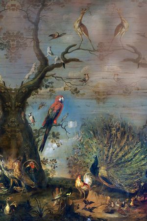 花鸟印花华亿平台图片