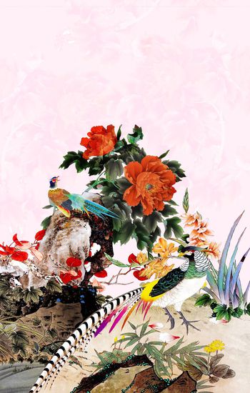 花鸟印花华亿平台图片