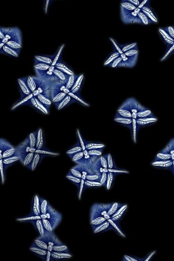 699596-160831-nzhh-1-1