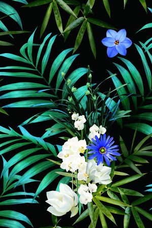 莫妮卡-大牌华亿平台印花华亿平台图片