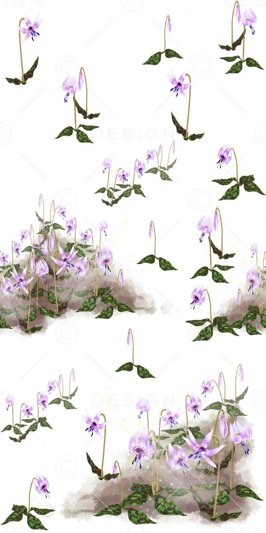 连衣裙印花华亿平台图片