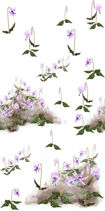 连衣裙印花华亿平台图片