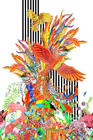 条纹印花华亿平台图片