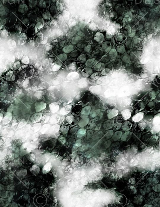 蛇皮印花华亿平台图片