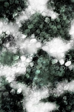 蛇皮印花华亿平台图片