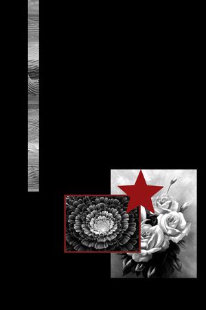 大牌男装印花华亿平台图片