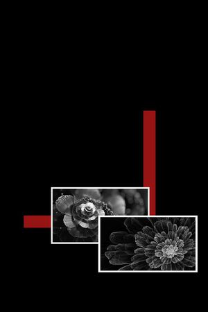 大牌男装印花华亿平台图片