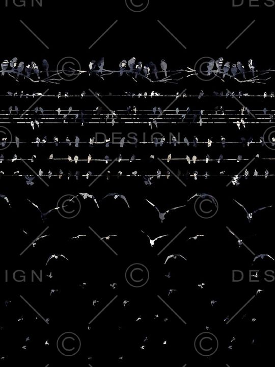 鸟印花华亿平台图片