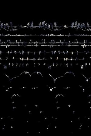 鸟印花华亿平台图片