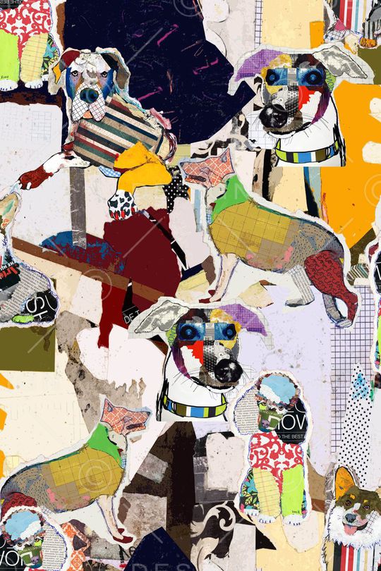 趣味印花华亿平台图片