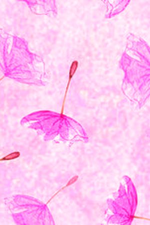 小花印花华亿平台图片