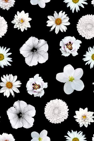 黑白印花华亿平台图片