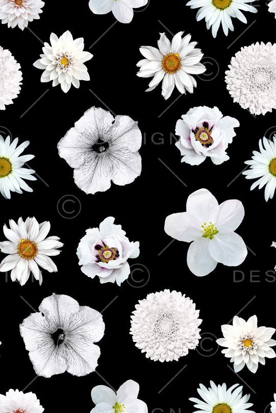 黑白印花华亿平台图片